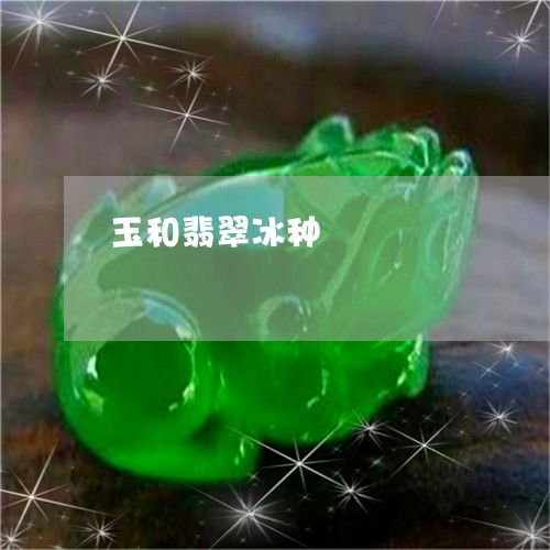 玉與翡翠冰種 2023年最新解析，別再傻了！